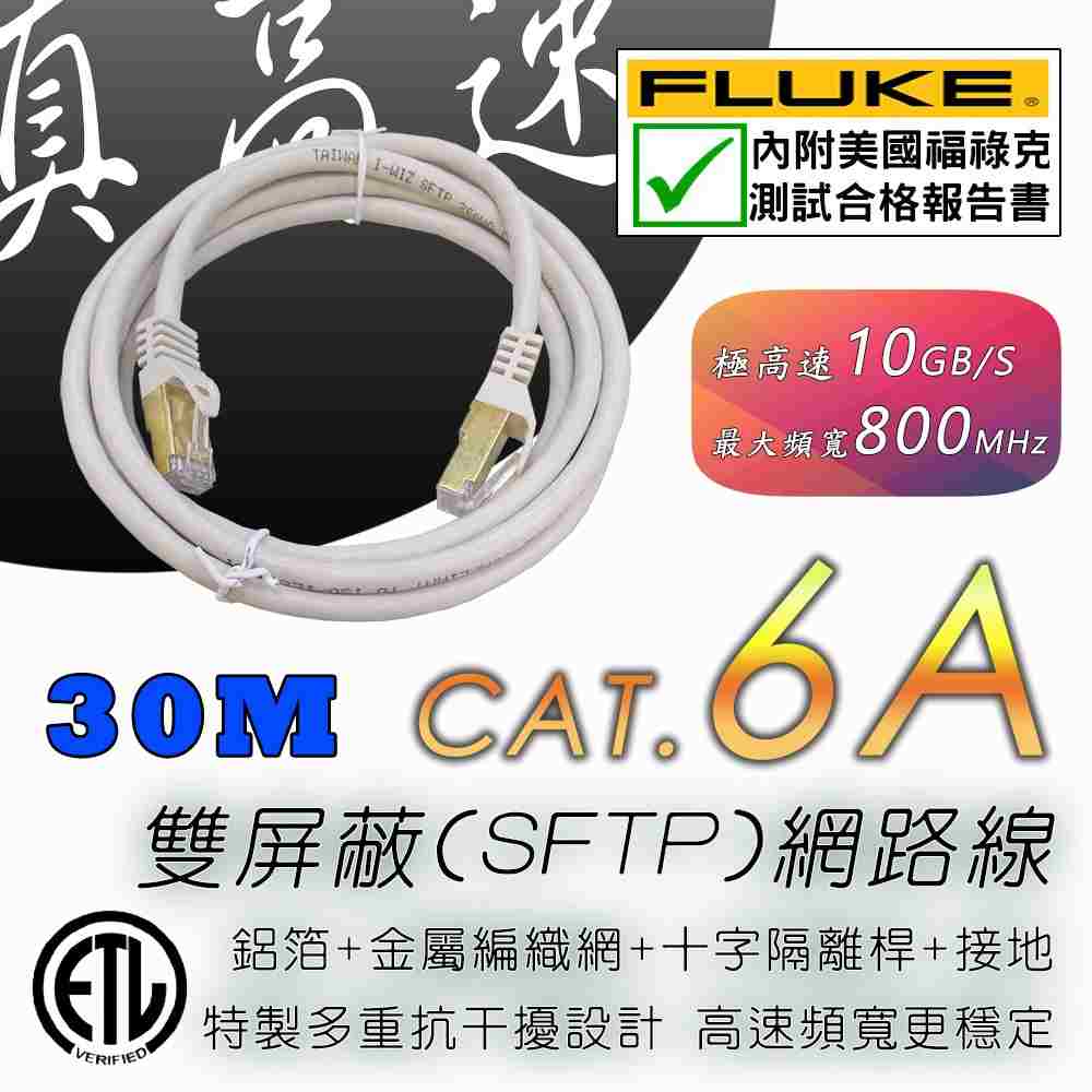 i-wiz Cat.6A 真高速雙屏蔽網路線 30M
